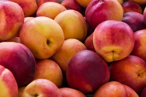 Nectarines
