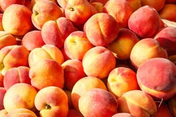 Peaches